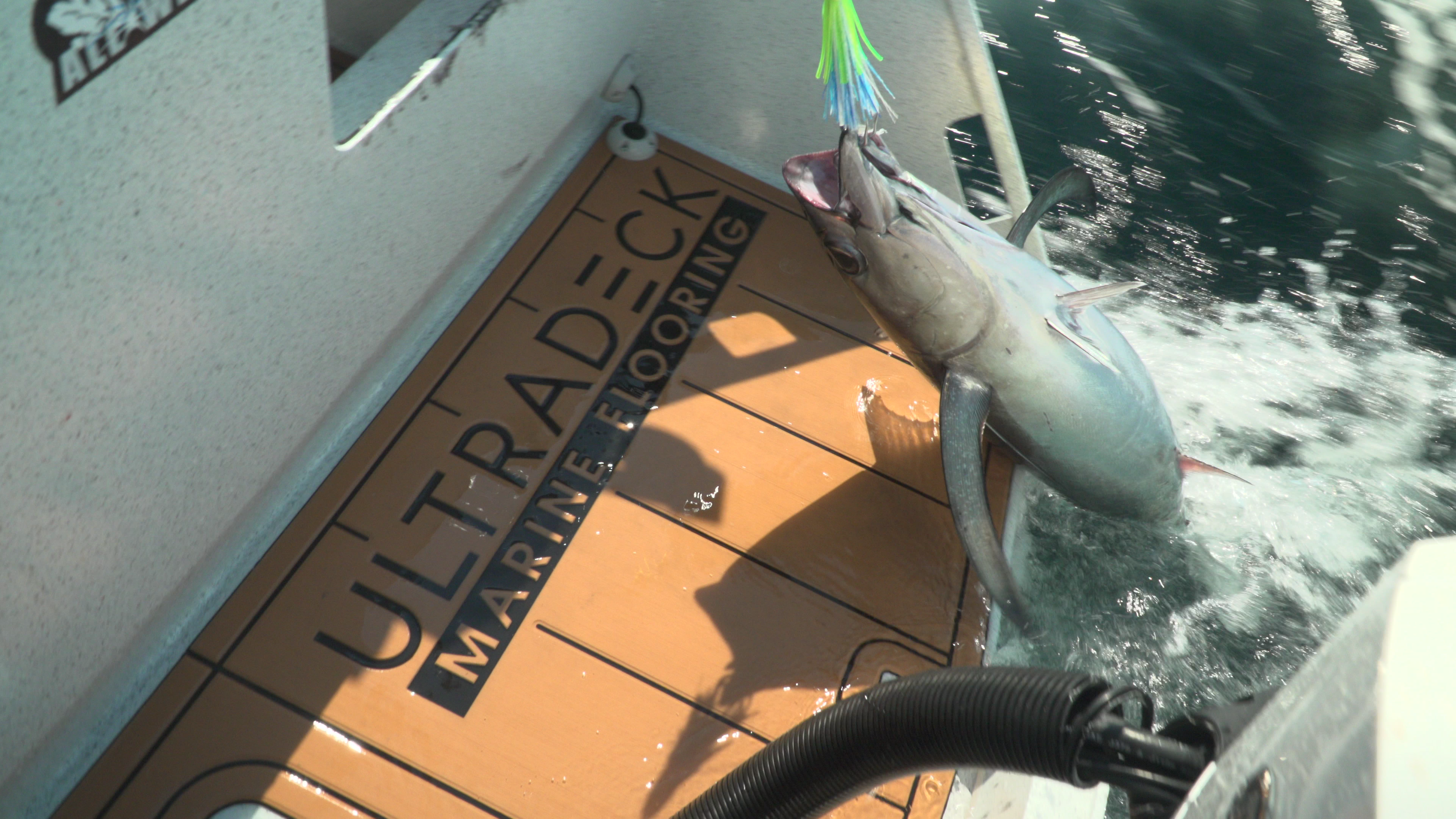 ultradeck logo up close with fish on a hook